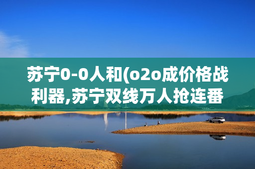 苏宁0-0人和(o2o成价格战利器,苏宁双线万人抢连番出击)