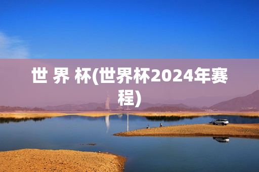 世 界 杯(世界杯2024年赛程)