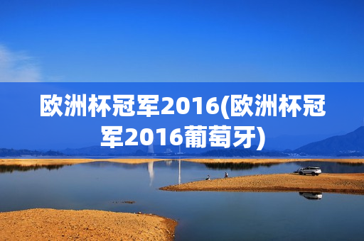 欧洲杯冠军2016(欧洲杯冠军2016葡萄牙)