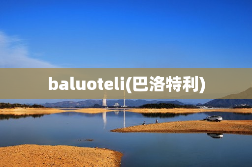 baluoteli(巴洛特利)