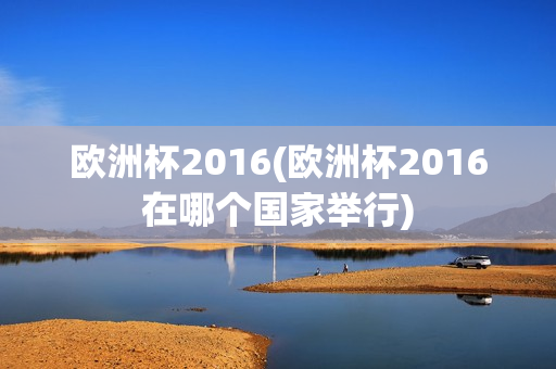 欧洲杯2016(欧洲杯2016在哪个国家举行)