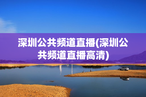 深圳公共频道直播(深圳公共频道直播高清)