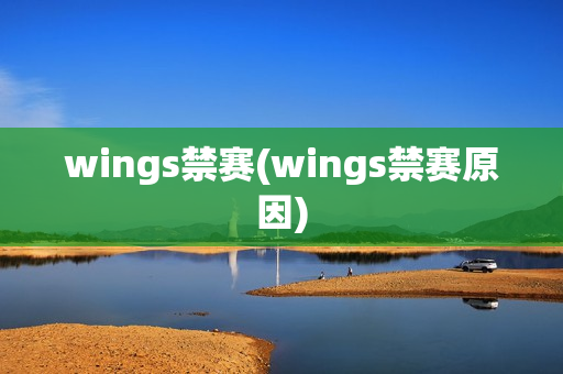 wings禁赛(wings禁赛原因)