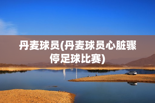 丹麦球员(丹麦球员心脏骤停足球比赛)