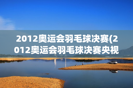 2012奥运会羽毛球决赛(2012奥运会羽毛球决赛央视)