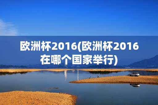 欧洲杯2016(欧洲杯2016在哪个国家举行)