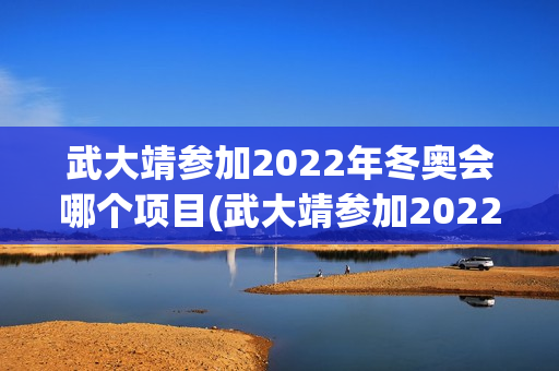 武大靖参加2022年冬奥会哪个项目(武大靖参加2022年冬奥会哪个项目参加了)