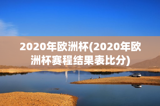 2020年欧洲杯(2020年欧洲杯赛程结果表比分)