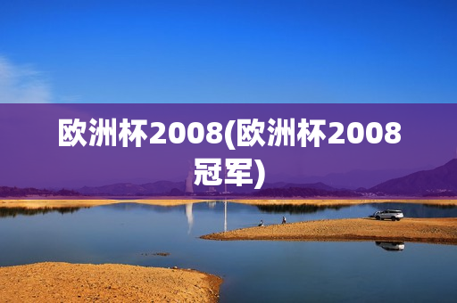 欧洲杯2008(欧洲杯2008冠军)