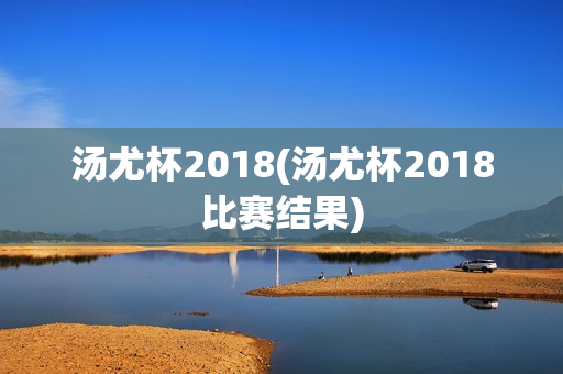 汤尤杯2018(汤尤杯2018比赛结果)