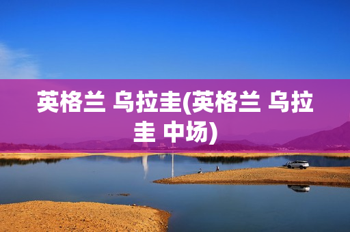 英格兰 乌拉圭(英格兰 乌拉圭 中场)