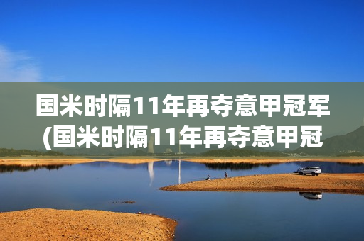 国米时隔11年再夺意甲冠军(国米时隔11年再夺意甲冠军 新闻)