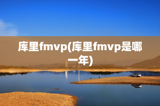 库里fmvp(库里fmvp是哪一年)