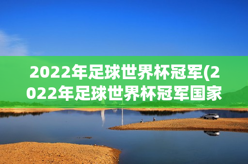 2022年足球世界杯冠军(2022年足球世界杯冠军国家为)