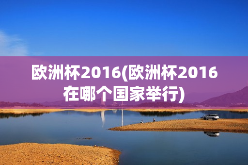 欧洲杯2016(欧洲杯2016在哪个国家举行)