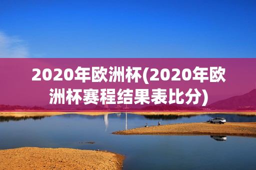 2020年欧洲杯(2020年欧洲杯赛程结果表比分)