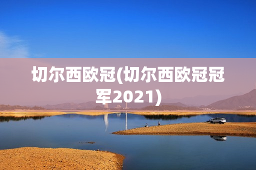 切尔西欧冠(切尔西欧冠冠军2021)