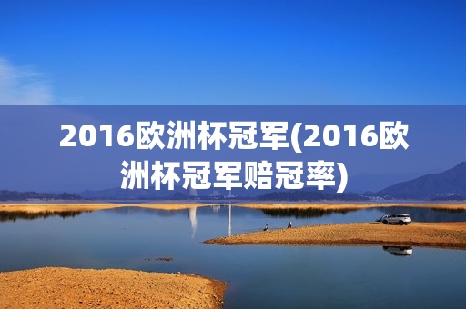 2016欧洲杯冠军(2016欧洲杯冠军赔冠率)