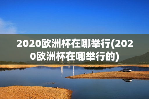 2020欧洲杯在哪举行(2020欧洲杯在哪举行的)