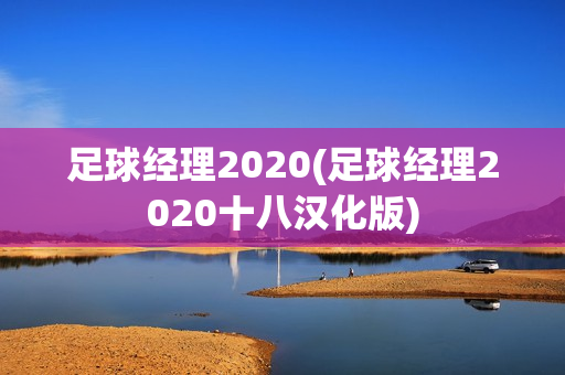 足球经理2020(足球经理2020十八汉化版)