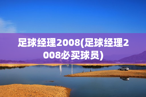 足球经理2008(足球经理2008必买球员)