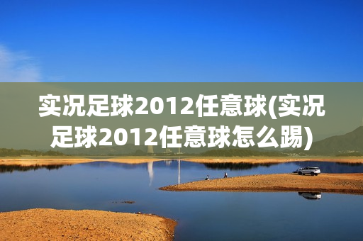 实况足球2012任意球(实况足球2012任意球怎么踢)