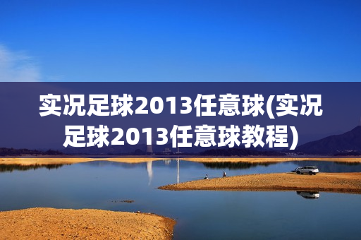 实况足球2013任意球(实况足球2013任意球教程)