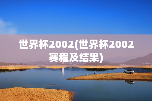 世界杯2002(世界杯2002赛程及结果)