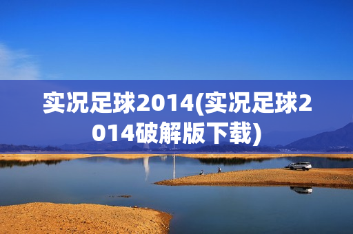 实况足球2014(实况足球2014破解版下载)