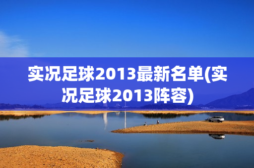 实况足球2013最新名单(实况足球2013阵容)