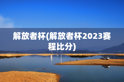 解放者杯(解放者杯2023赛程比分)