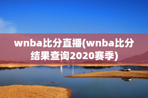 wnba比分直播(wnba比分结果查询2020赛季)