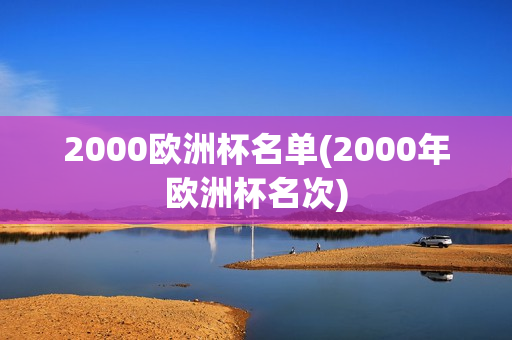 2000欧洲杯名单(2000年欧洲杯名次)