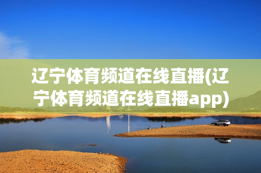 辽宁体育频道在线直播(辽宁体育频道在线直播app)