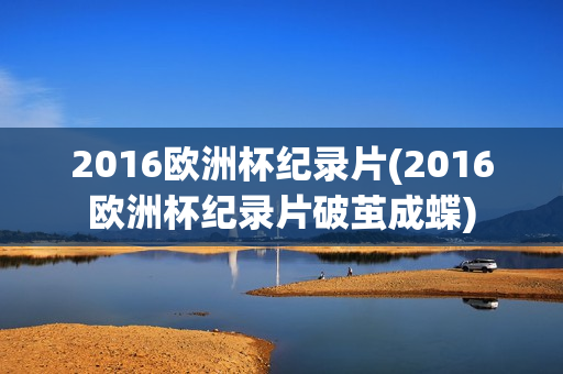 2016欧洲杯纪录片(2016欧洲杯纪录片破茧成蝶)