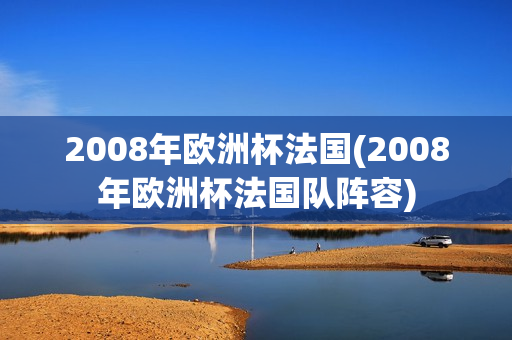 2008年欧洲杯法国(2008年欧洲杯法国队阵容)