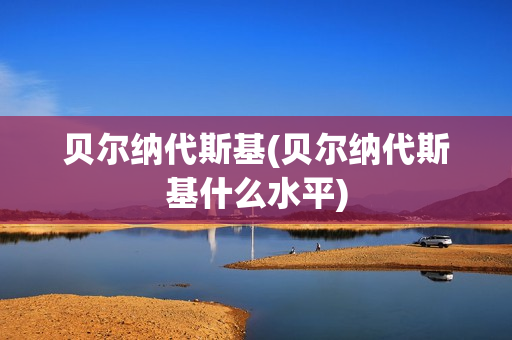 贝尔纳代斯基(贝尔纳代斯基什么水平)