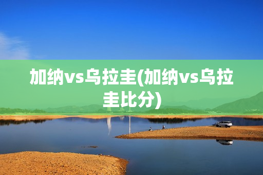 加纳vs乌拉圭(加纳vs乌拉圭比分)