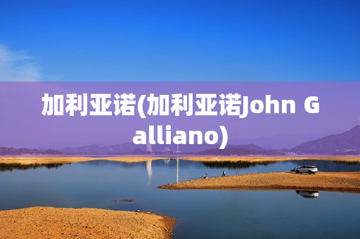 加利亚诺(加利亚诺John Galliano)