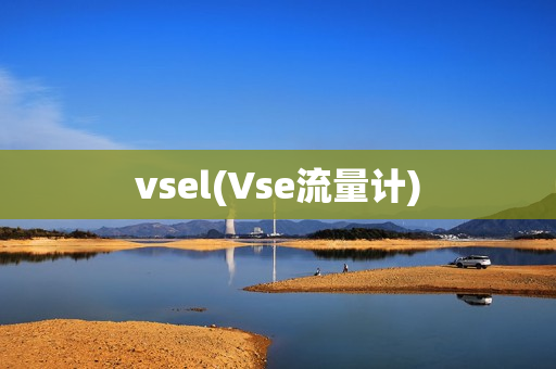 vsel(Vse流量计)