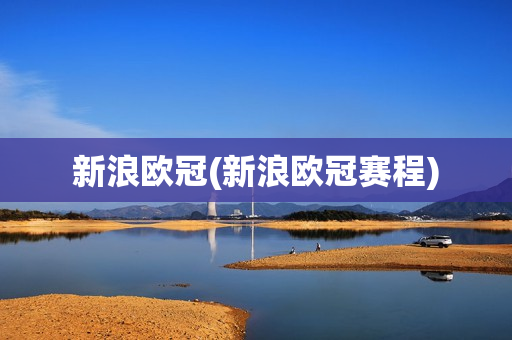 新浪欧冠(新浪欧冠赛程)