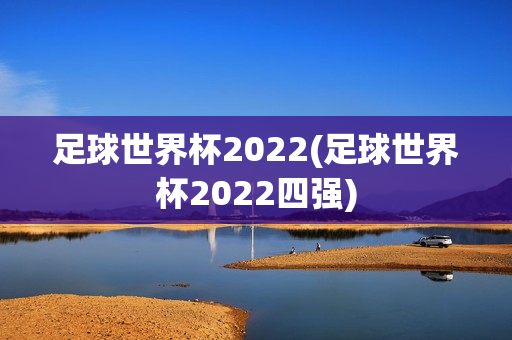 足球世界杯2022(足球世界杯2022四强)