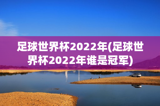 足球世界杯2022年(足球世界杯2022年谁是冠军)