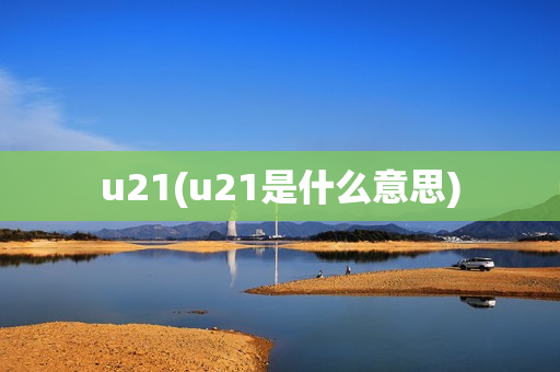 u21(u21是什么意思)