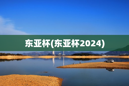 东亚杯(东亚杯2024)