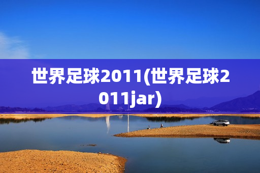 世界足球2011(世界足球2011jar)