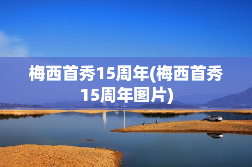 梅西首秀15周年(梅西首秀15周年图片)