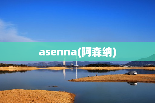 asenna(阿森纳)