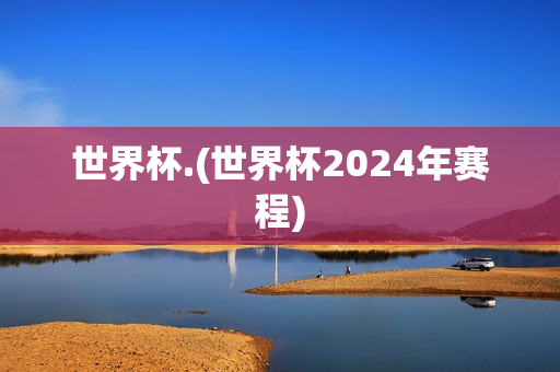 世界杯.(世界杯2024年赛程)