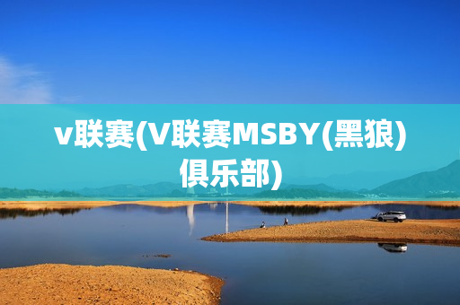 v联赛(V联赛MSBY(黑狼)俱乐部)